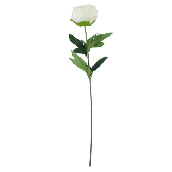 Essential - Arundel Garden Peony - Ivory