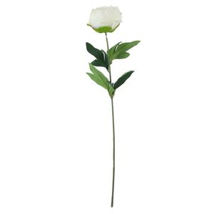 Essential - Arundel Garden Peony - Ivory