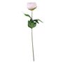 Essential - Arundel Garden Peony - Light Pink