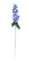 Essential - Arundel Garden Delphinium Blue