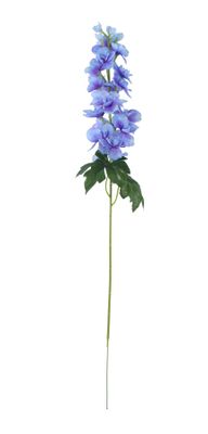 Essential - Arundel Garden Delphinium Blue