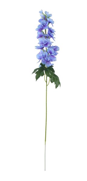 Essential - Arundel Garden Delphinium Blue