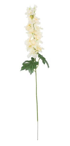 Essential - Arundel Garden Delphinium Cream
