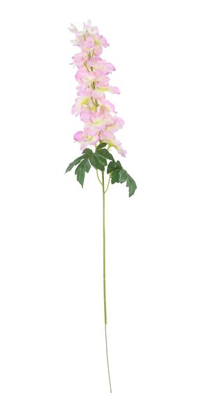 Essential - Arundel Garden Delphinium Cream Pink