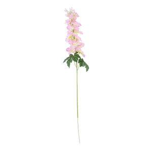 Essential - Arundel Garden Delphinium Cream Pink
