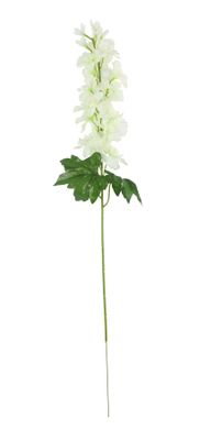Essential - Arundel Garden Delphinium Ivory