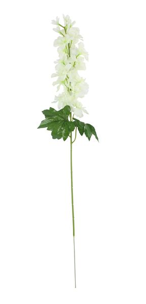 Essential - Arundel Garden Delphinium Ivory