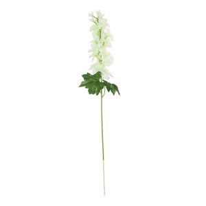 Essential - Arundel Garden Delphinium Ivory