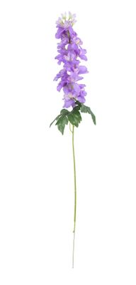 Essential - Arundel Garden Delphinium Lavender