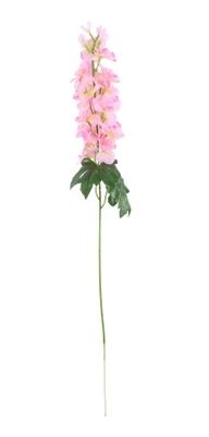 Essential - Arundel Garden Delphinium Pink