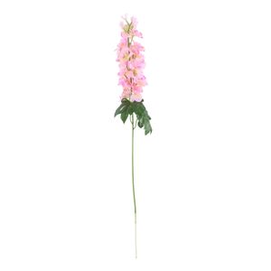 Essential - Arundel Garden Delphinium Pink
