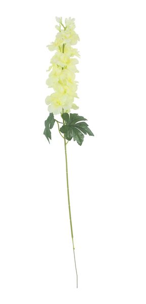 Essential - Arundel Garden Delphinium Yellow