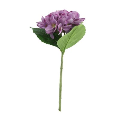 Essential - Arundel Hydrangea Purple