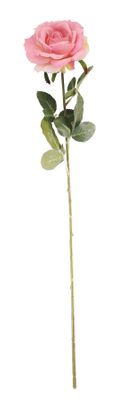 Essential - Arundel Open Rose - Dusky Pink