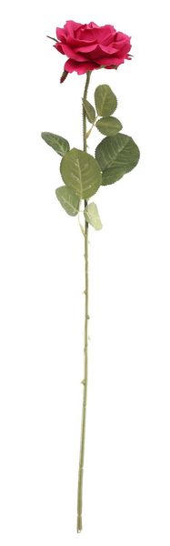 Essential - Arundel Open Rose - Fuchsia