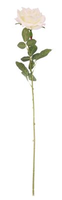 Essential - Arundel Open Rose - Ivory