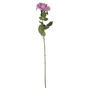 Essential - Arundel Open Rose - Lavender