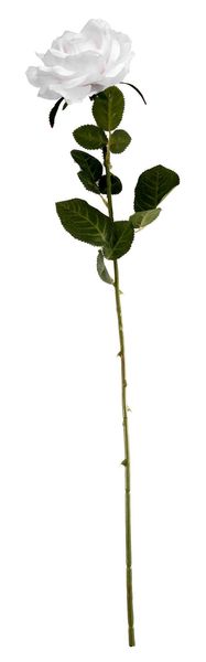 Essential - Arundel Open Rose - White