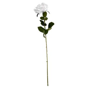 Essential - Arundel Open Rose - White