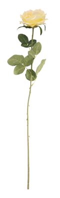 Essential - Arundel Open Rose - Yellow
