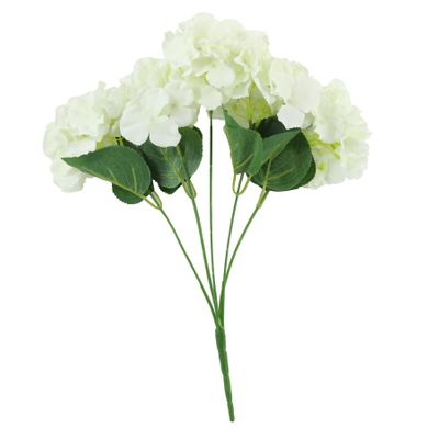 Essential - Arundel Hydrangea Bush - Cream