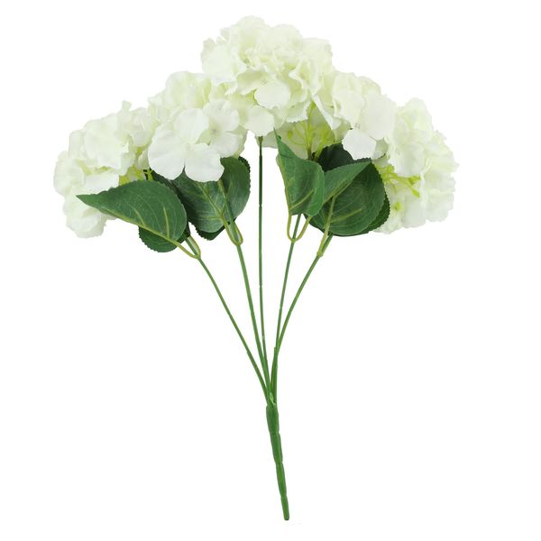 Essential - Arundel Hydrangea Bush - Cream