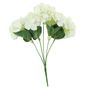 Essential - Arundel Hydrangea Bush - Cream