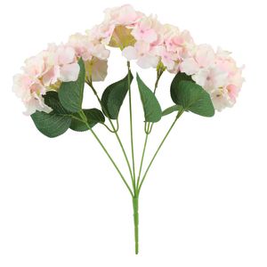 Essential - Arundel Hydrangea Bush - Pink