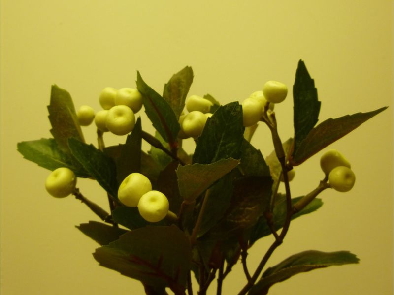 21cm Berry Bush x7 Cream