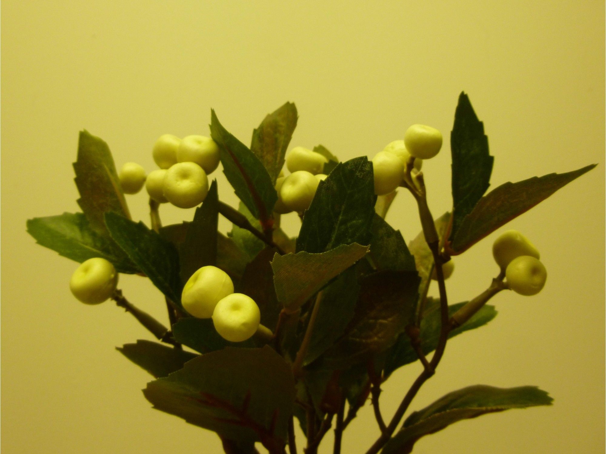 21cm Berry Bush x7 Cream