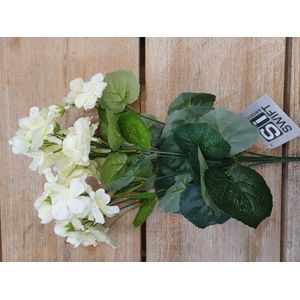12" Geranium Bush Cream