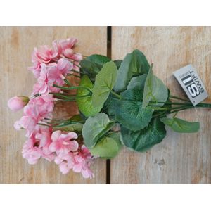 12" Geranium Bush Cream