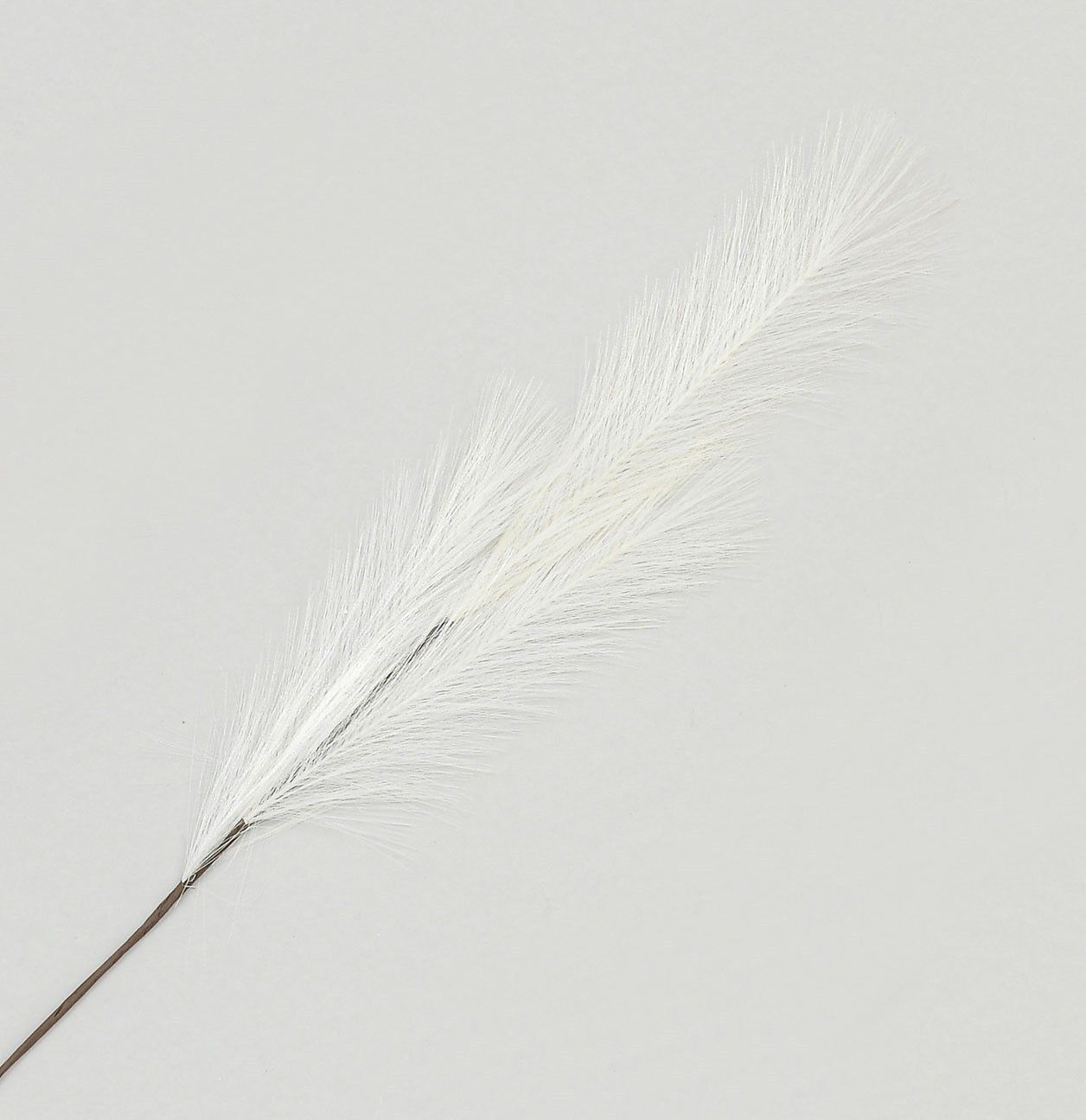 82cm Pampas Grass Spray White