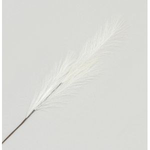 82cm Pampas Grass Spray White