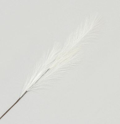 82cm Pampas Grass Spray White
