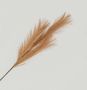 82cm Pampas Grass Spray Copper