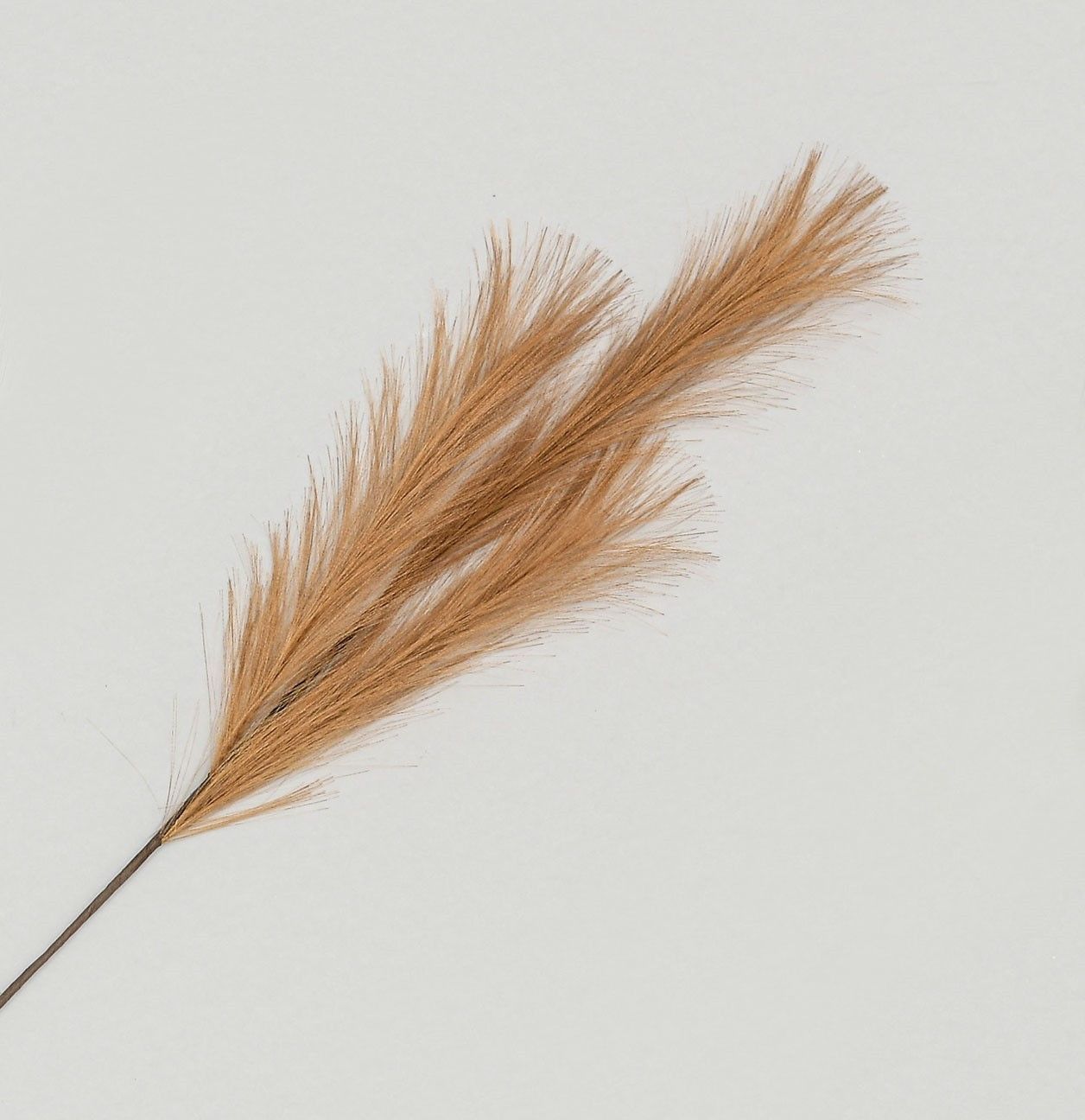 82cm Pampas Grass Spray Copper