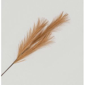82cm Pampas Grass Spray Copper