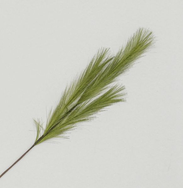 82cm Pampas Grass Spray Green