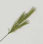 82cm Pampas Grass Spray Green