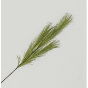 82cm Pampas Grass Spray Green