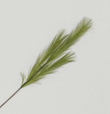82cm Pampas Grass Spray Green