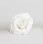 18cm Glitter Rose w/Clip White