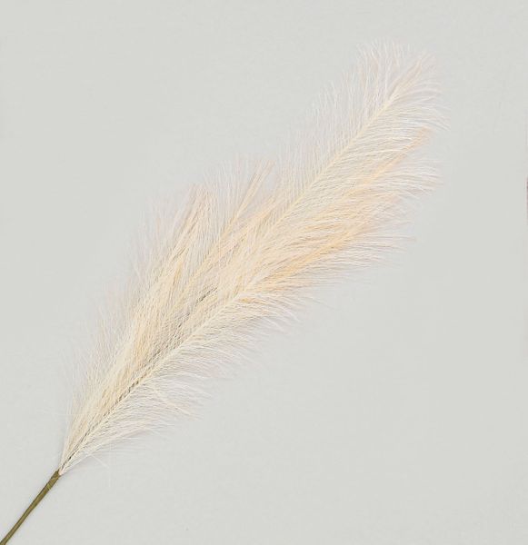 96cm Reed Grass Spray Cream