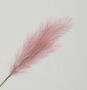 96cm Reed Grass Spray Pink