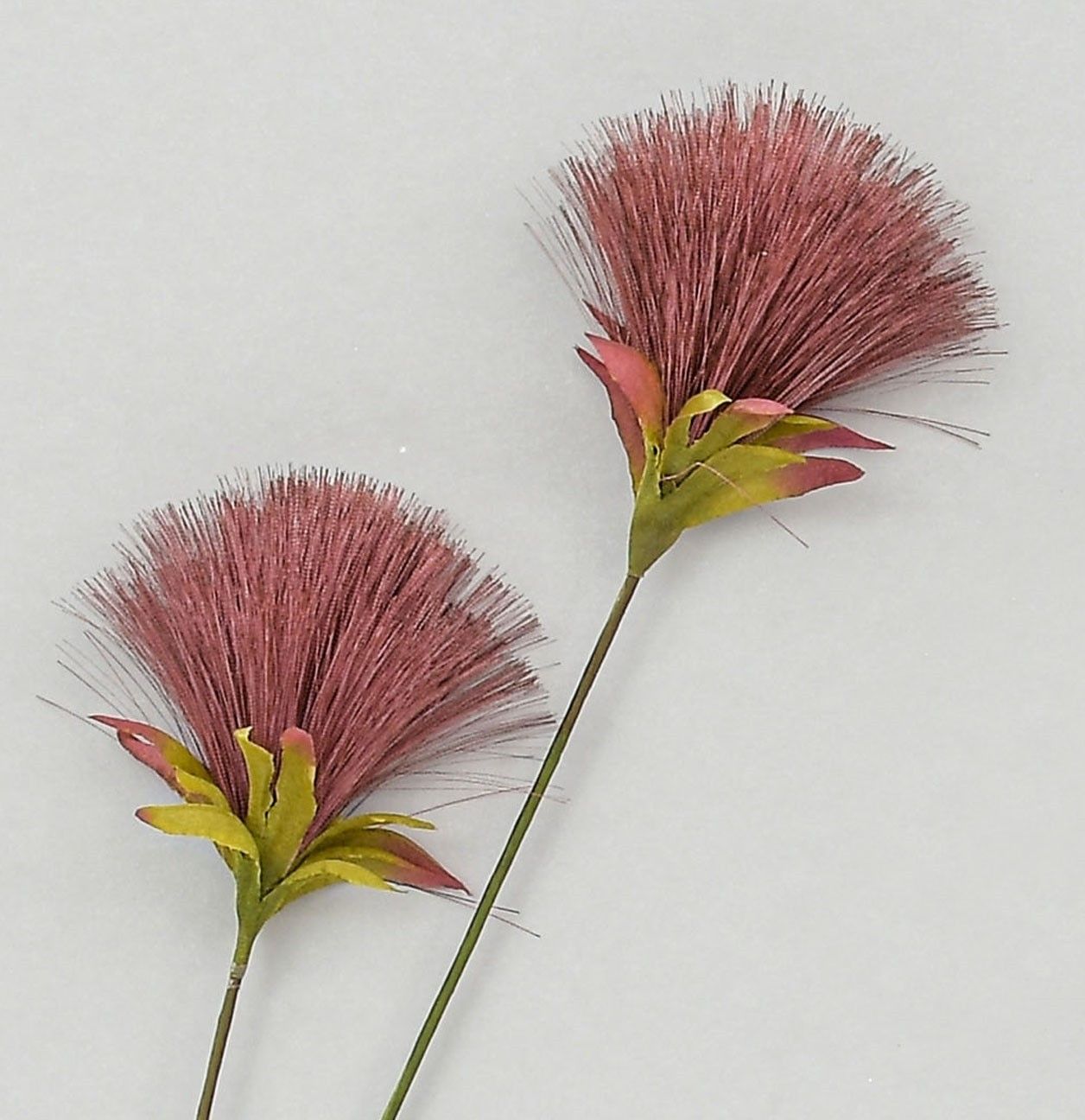 72cm PomPom Spray Burgundy