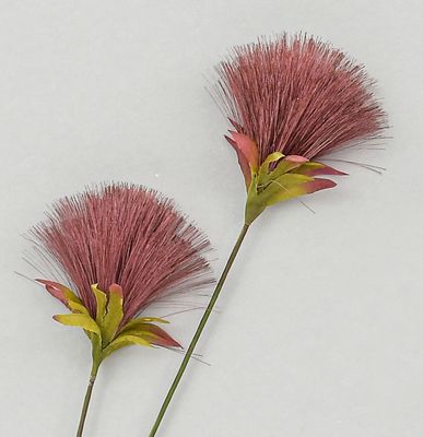 72cm PomPom Spray Burgundy