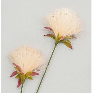 72cm PomPom Spray Cream