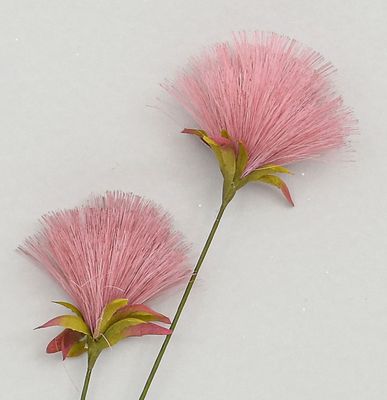 72cm PomPom Spray Pink