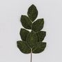 70cm Velvet Leaf Spray Green